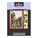 DaySpring - Sympathy - Serenity - 12 Boxed Cards (51726),Multi