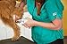 Andis 65700 Animal Nail Cutter for Small Breeds - Stainless Steel Blades with Sharp Efficiency - Designed for Repeated Use & Recommended by Pet Trainers – Medium Size & White/Green