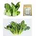1000+ Baby Bok Choy Seeds & 500+ Spinach Seeds for Planting, Non-GMO Organic Heirloom Green Vegetable Seeds