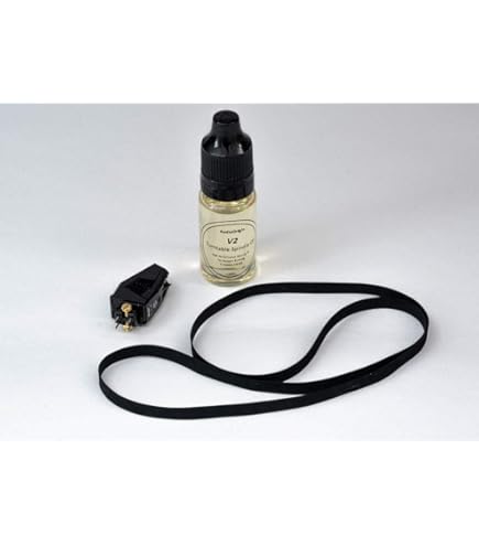 Amazon.com: Durpower Phonograph Record Turntable Needle