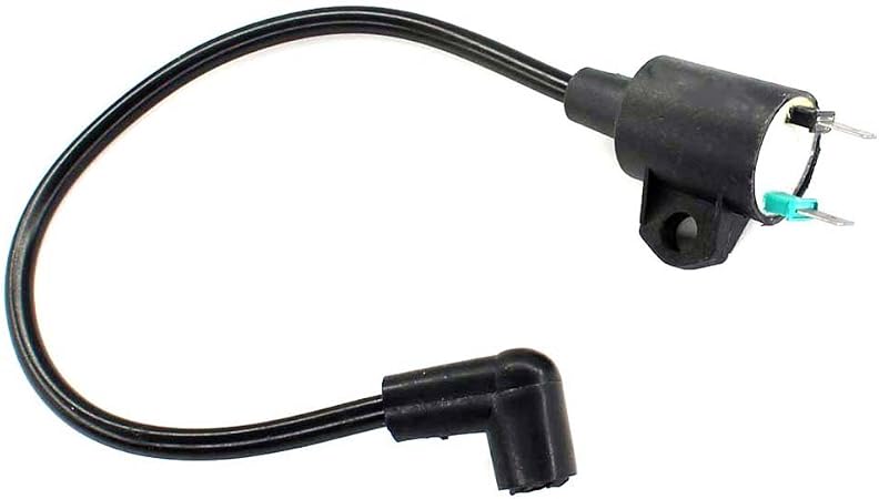 Amazon Com Huri Ignition Coil For Harbor Freight Chicago