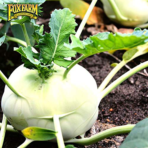 Fox Farm Bush Doctor Coco Loco Potting Soil, Coco Coir Soil Mix for