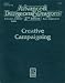 Creative Campaigning (Advanced Dungeons & Dragons, 2nd Edition, Dungeon Master's Guide Rules Supplement/2133/DMGR5)