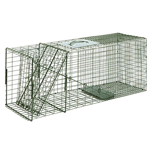 Duke Traps Raccoon Cage Trap