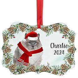 Seal Point Ragdoll Cat Christmas Ornament 2024