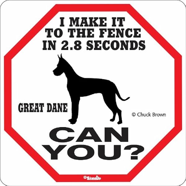 great dane dog gate
