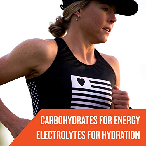 Gatorade Endurance Formula Powder, Watermelon, 32 Ounce Pricepulse