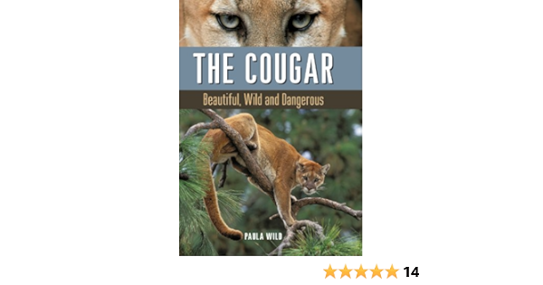 Beautiful Cougar Pics