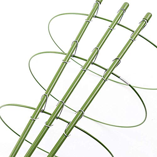 Alapaste Plant Support Ring Garden Trellis Plant Support Cage with 3 Adjustable Rings for Potted Climbing Plants Vegtables Flowers - Thumbnail 6