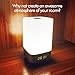 VEHOLION Wake Up Light Alarm Clock with Sunrise Simulation and 5 Natural Sounds,LED USB Bedside Lamp,Rechargeable,Touch Sensor Night Light with 3 Brightness,12/24 hour Gift,MY-03