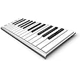 Xkey 25 USB MIDI Keyboard Controller - Apple-Style Ultra-Thin Aluminum Frame, 25 Full-Size Velocity-Sensitive Keys, Polyphoni