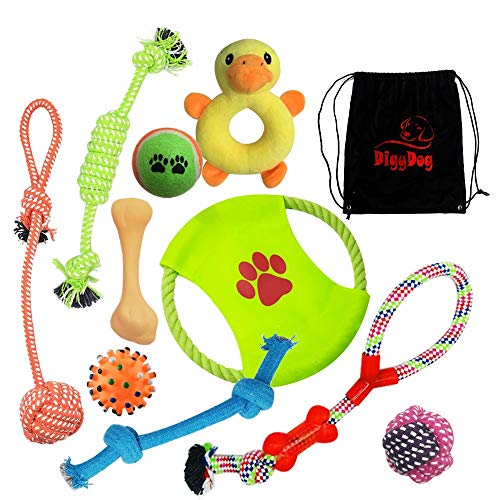 How to find the best cool dog toys for 2018?