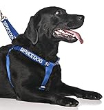 Service Dog Blue Color Coded Alert Warning L XL Non Pull Dog Harness Prevents Accidents By Warning Others of Your Dog in Advance
