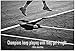 (13x19) Billie Jean King Champions Quote Poster