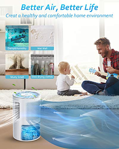 1 LONOVE+Dehumidifiers+Home+Basements+Dehumidifier