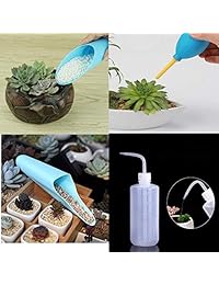 Wesdxc - Juego de 15 herramientas de plantas suculentas, mini herramientas de jardín, herramientas de trasplantación en miniatura para jardinería y jardinería