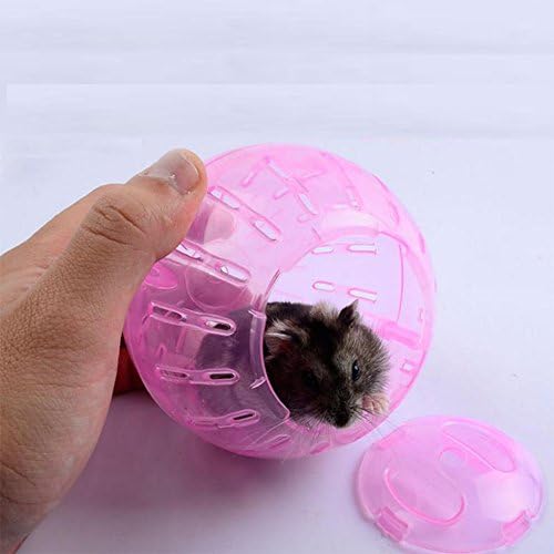 ペット用品 小動物 ハムスター 遊び エクササイズボール バスルーム バスサンドルーム 2個 B07fycws5w 693円 大人気 New Arrival 最安値挑戦 年中無休 高品質 通販
