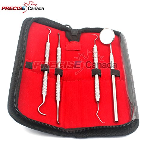 PRECISE CANADA: DENTAL HYGIENE KIT - CALCULUS & PLAQUE REMOVER SET - STAINLESS STEEL TARTER SCRAPER, TOOTH PICK, DENTAL SCALER AND MOUTH MIRROR.DENTIST HOME USE TOOLS NEW
