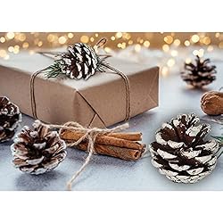 24 PCS Pine Cones for Christmas Tree Snowflake