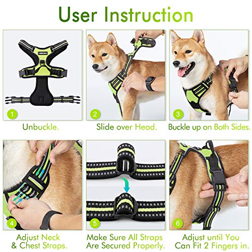rabbitgoo Dog Harness, NoPull Pet Harness with 2 Leash Clips