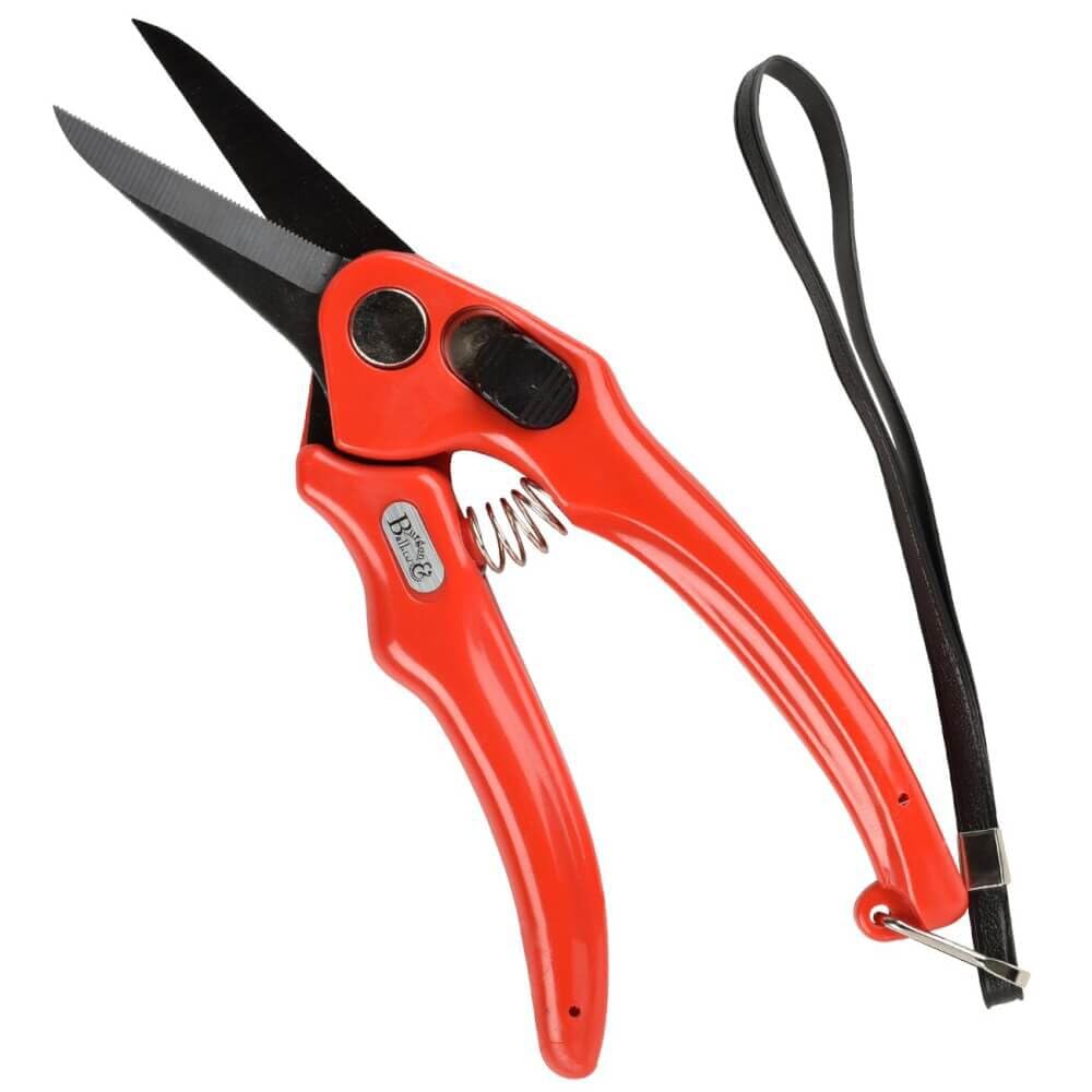 Burgon & Ball Supersharp Foot Shears Serrated