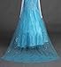 Snow Queen Elsa Princess Party Dress Costume with Accessories (2-3, Style 2)