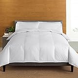 Cuddl Duds Level 3 400-Thread Count Down Comforter