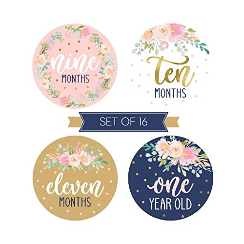 4 Milestone+Stickers+Monthly+Scrapbook+Registry