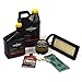 Briggs & Stratton 5127B Tune-Up Kit primary