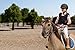Mashfa Pink/Age 10-12 Years - Riding Gloves - Kid Horse Gloves - Horse Riding Accessories