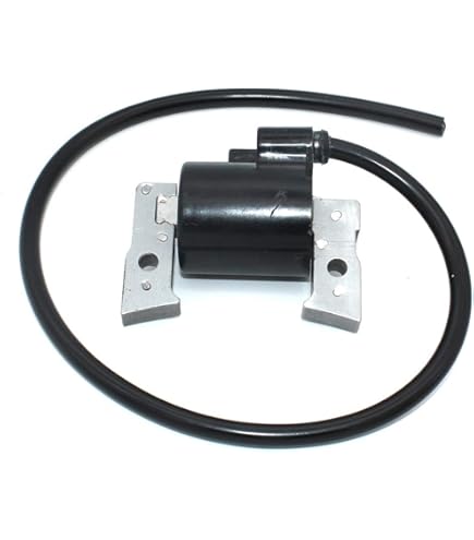 Amazon.com: Ignition Coil With Spark Plug For Kawasaki