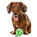SunGrow Teething Treat Chew Ball for Rabbit, Ferret, Guinea Pig, Puppy, Kitten Tooth Clearing Puzzle Treat Dispenser, Aquarium Fish Bloodworm & Snack Holder, 2.75 inches