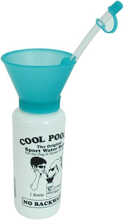 lakeland animal shelter cats