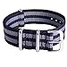 Ritche 4PC 22mm NATO Strap Nylon Watch Band Replacement Watch Bands for Men Women