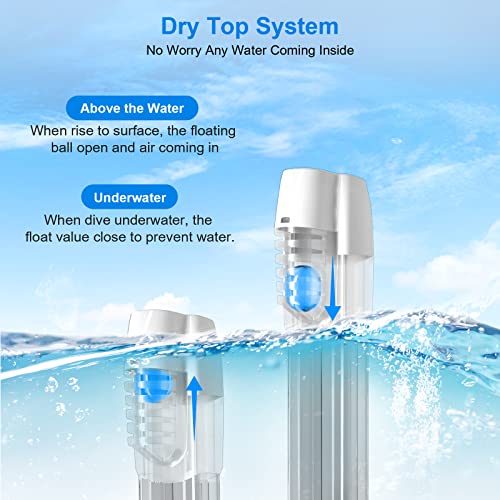 bedee Masque de Plongée, Masque Snorkeling Plein Visage Pliable Respiration Libre, Anti-Buée et Anti-Fuite, 180° Visible avec la Support pour Caméra de Sport, Adapté pour Adultes et Jeunesse(L/XL)