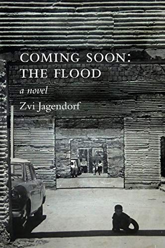 Coming Soon: The Flood by Zvi Jagendorf