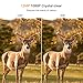 APEMAN Trail Camera 12MP 1080P HD Game&Hunting Camera with 130° Wide Angle Lens 120° Detection 42 Pcs 940nm Updated IR LEDs Night Version up to 20M/65FT Wildlife Camera with IP66 Spray Water Protected