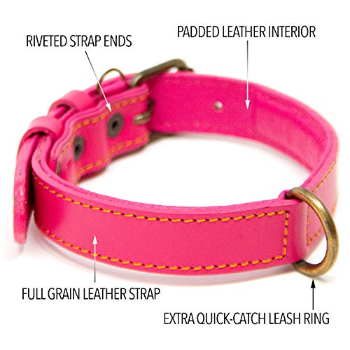 Logical Leather Dog Collar Best Full Grain Padded Genuine Leather Dog