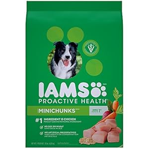 IAMS PROACTIVE HEALTH Adult Minichunks Dry Dog Food 15 Pounds