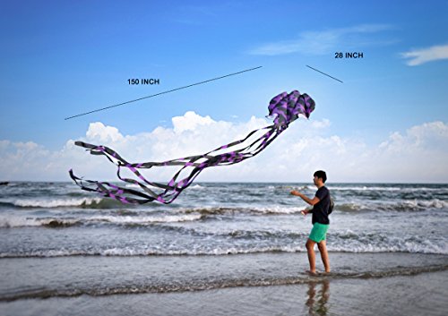 4 kizh+Octopus+Frameless+Parafoil+Playground