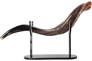 HHUXIUE Shofar Stand, Acrylic Horn Holder, Sturdy & Durable, 360° Display, Clear