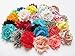 YYCRAFT (30 Pieces Shabby Flowers - Chiffon Fabric Roses - 2.5