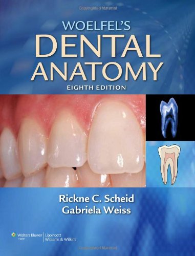 Download Woelfel's Dental Anatomy: Its Relevance to Dentistry