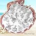 SHUHONEY 30PCS Pearl Cage Pendants for Jewelry Making Aromatherapy Essential Oil Diffuser Lockets DIY Necklace & Bracelet Charms Bulk Bead Cages for 7-8mm Pearls Gifts for Women (Rhodium Plated)