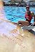 Advanced Swimming (Condor on Swimming Book 2) by 