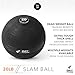 Weighted Slam Ball by Day 1 Fitness – 20 lbs - No Bounce Medicine Ball - Gym Equipment Accessories for High Intensity Exercise, Functional Strength Training, Cardio