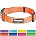 Blueberry Pet Essentials Small Dog Collar | Girl Dog Collars Fall | Female Dog Collar Small | Florence Orange Dog Collars for Small Dogs | Quick Release Dog Collar | Florence Orange Nylon Dog Collar