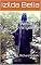 Livro John Wesley, o Evangelista: Rev. Richard Green (Biografia Livro 1)