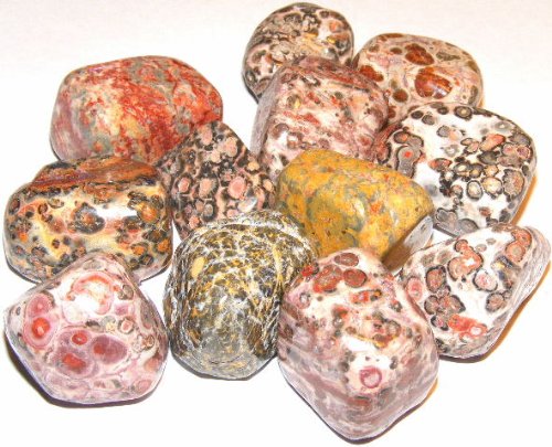None Rhyolite/Leopard Skin Jasper Tumblestone - Extra Large