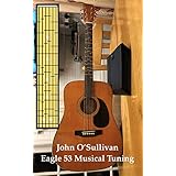 Eagle 53 Musical Tuning: The Math of Music, Microtonal and Xenharmonic Music and Alternative Tunings